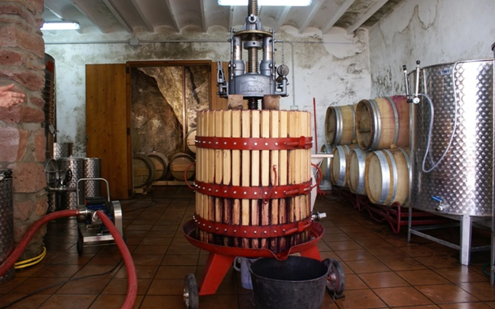Proceso de bodega